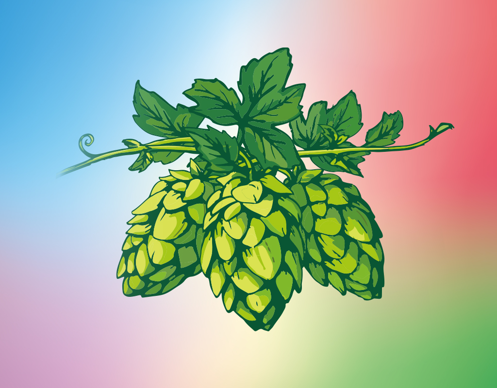 Another とれたてホップ