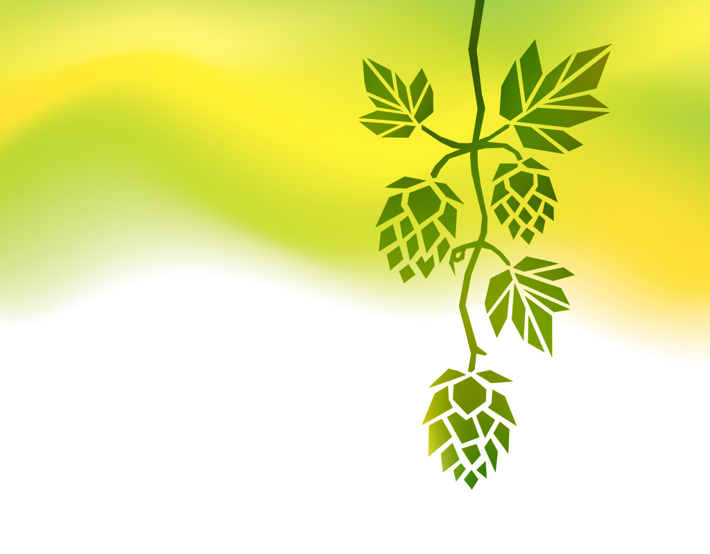新商品「Tono IBUKI IPA」リリースのお知らせ