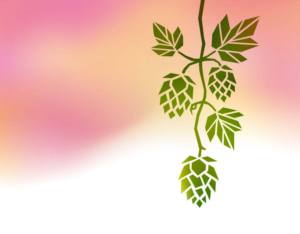 新商品「uncountable Pale Ale」リリースのお知らせ