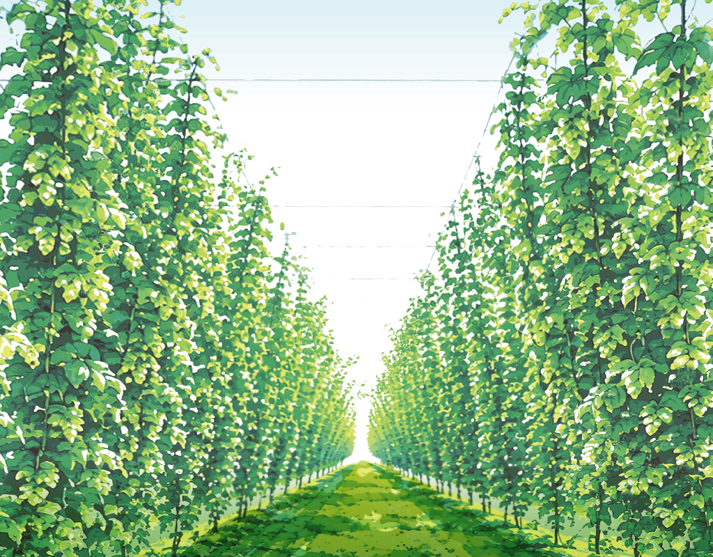 Home of Hops